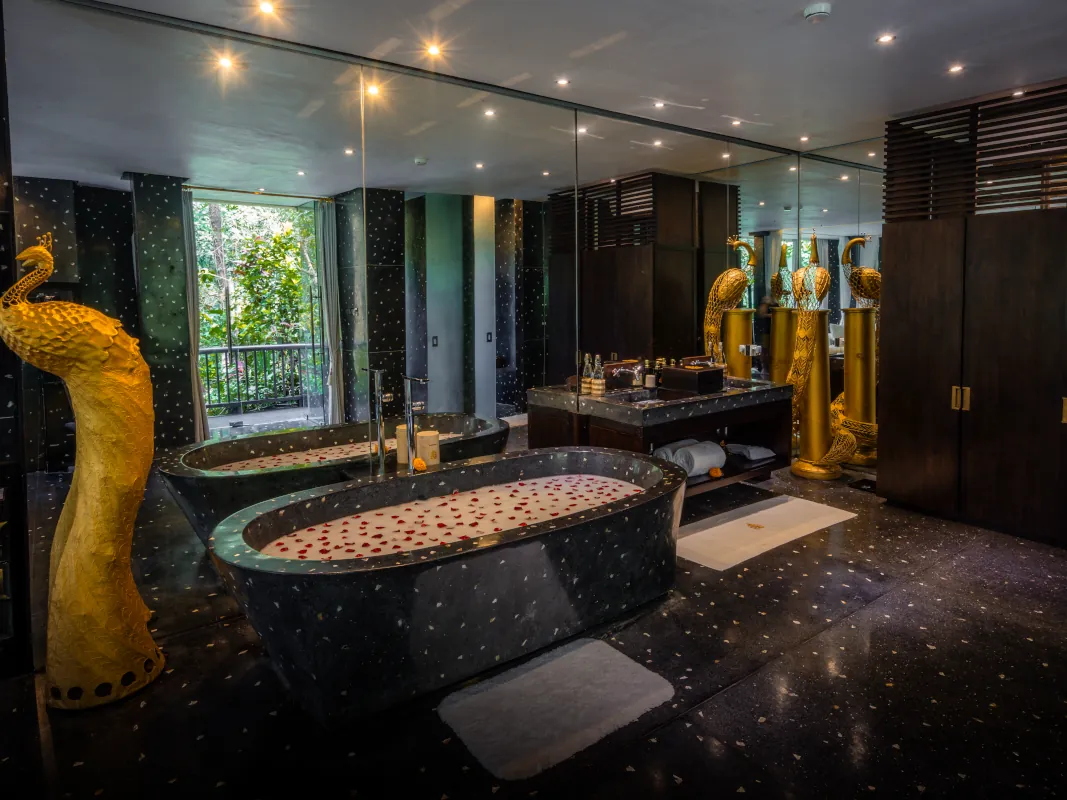  Bathtub 1 2026