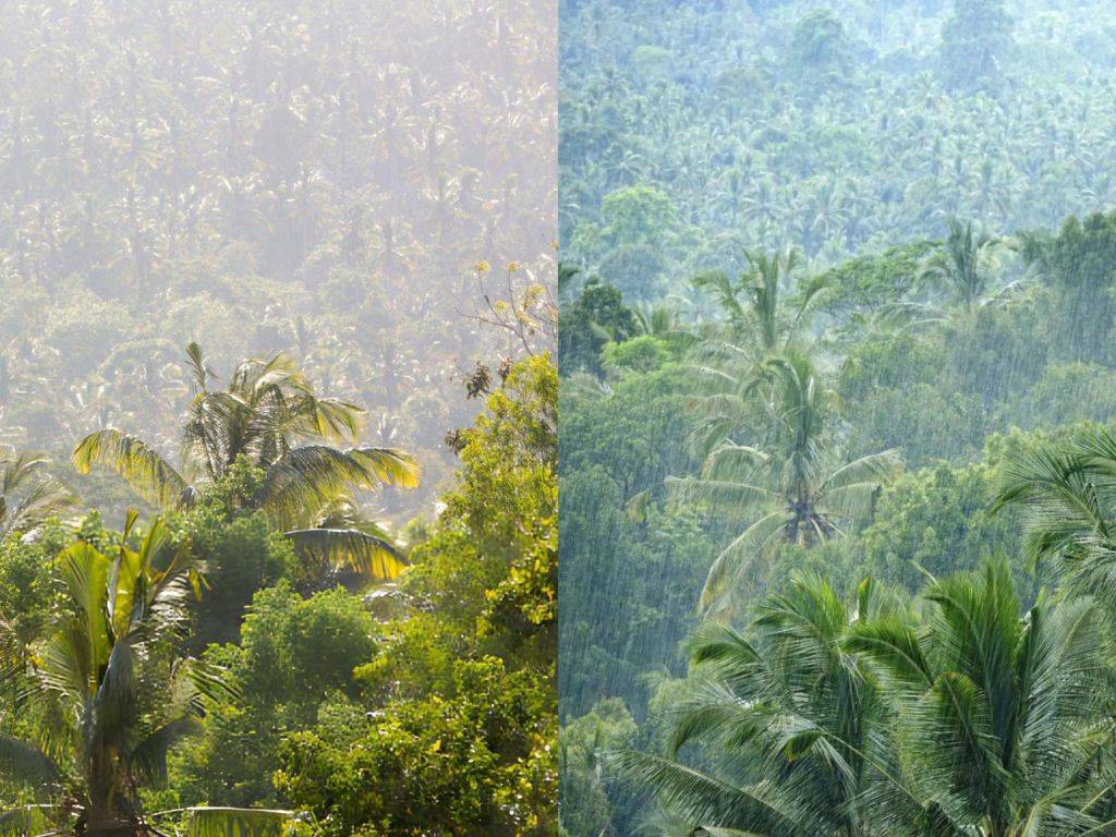 Bali dry season and green season contrast with sunny skies and lush tropical jungle