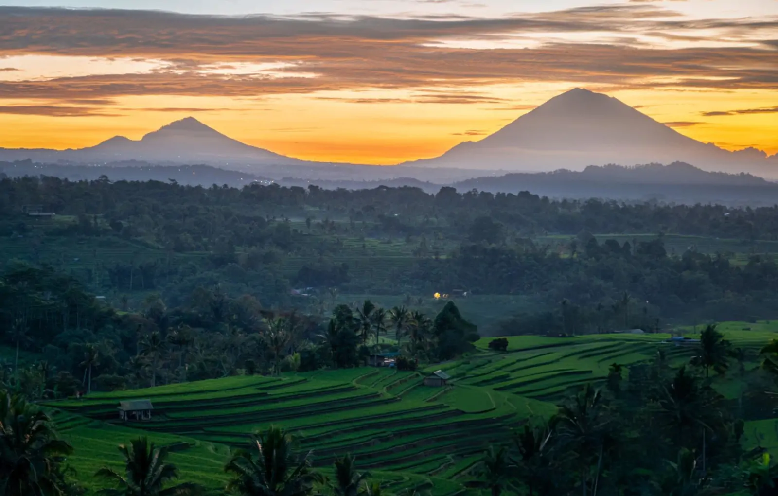 Emerald rice fields and rainforest in Bali after rain during green season months