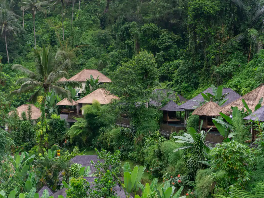Private jungle villa in Bali with infinity pool and quiet surroundings during peak season