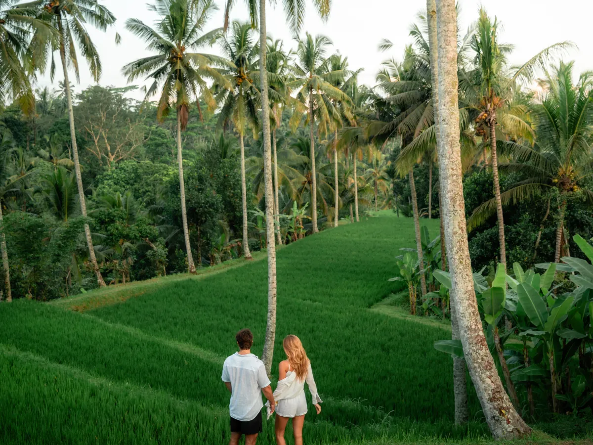 Peaceful rice terraces near Ubud away from Bali’s beach crowds