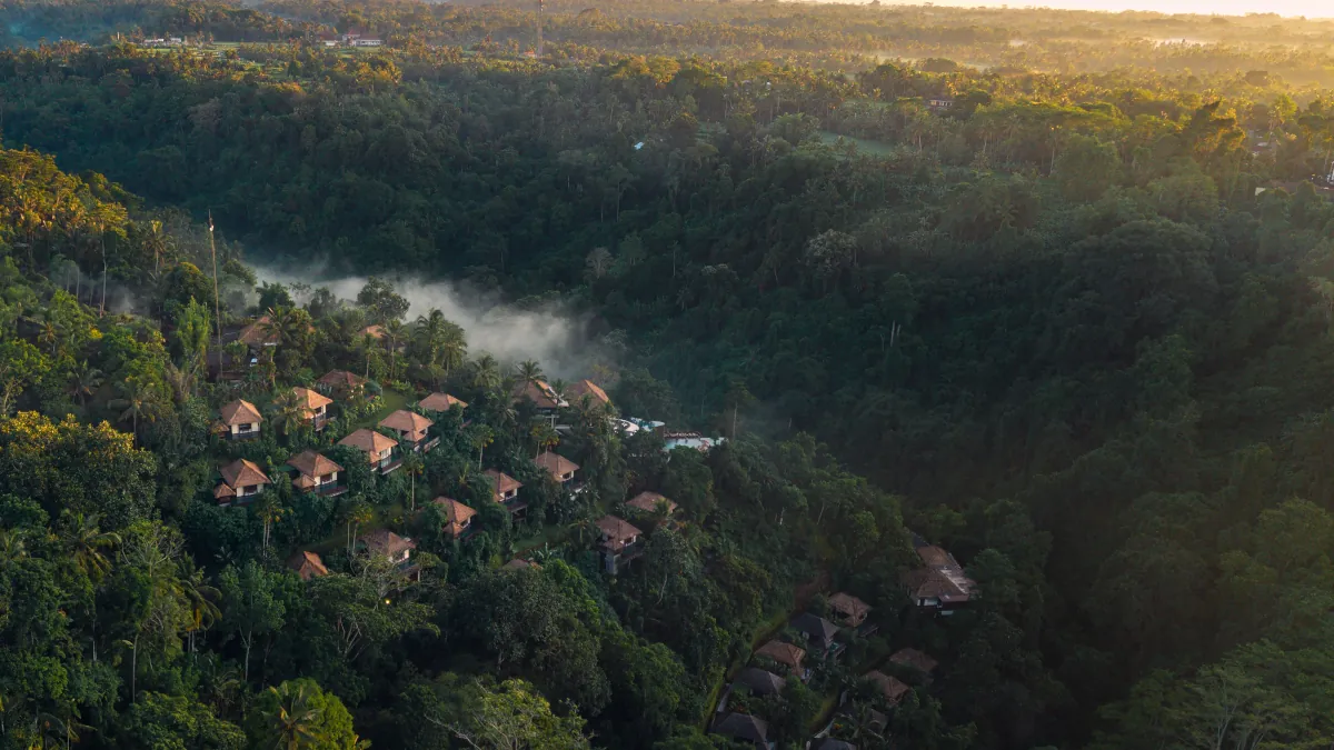 Rice terraces and tropical rainforest in Ubud Bali during sunrise