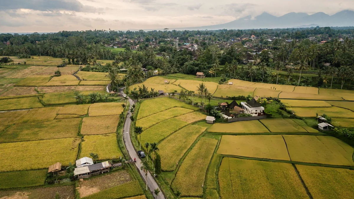 Travelling from Bali’s coastline to the peaceful rainforest of Ubud