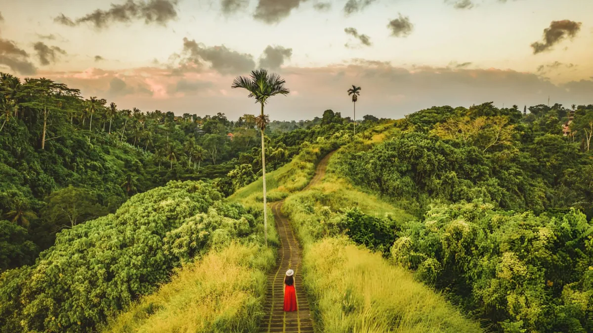 The Perfect 2 Day Ubud Itinerary: A Luxury Escape Beyond the Tourist Trail
