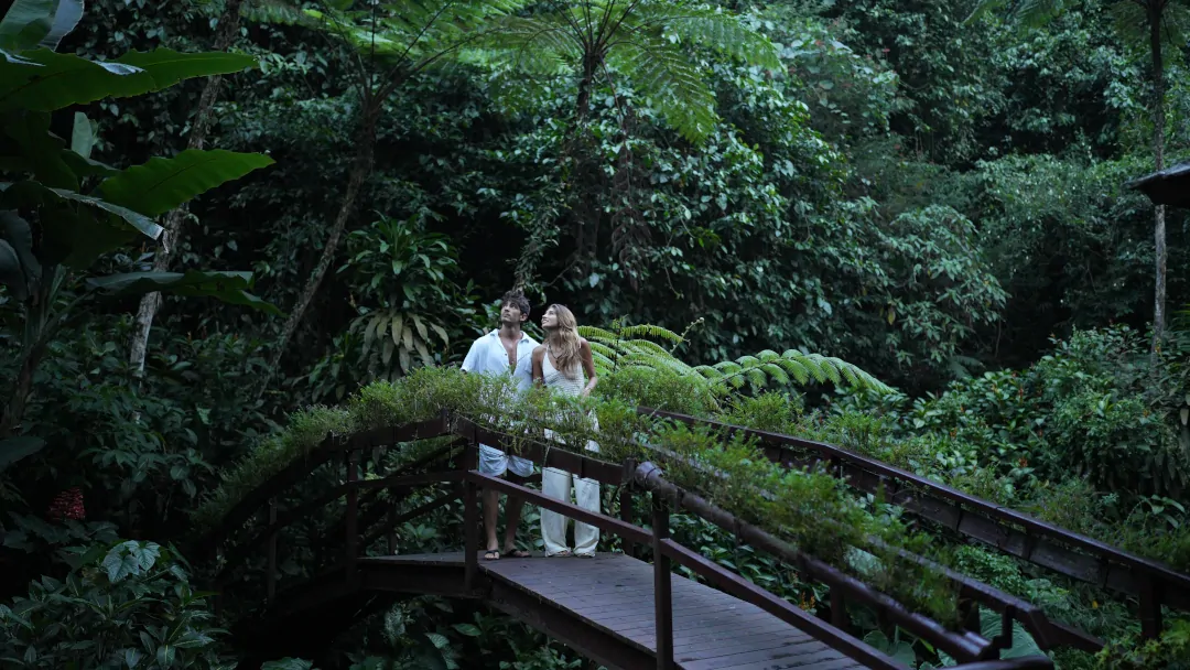 Wellness Beyond the Spa: How Nature Changes the Way We Feel
