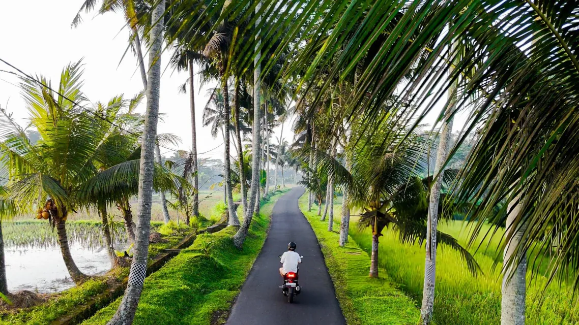 Already Done the Beach Clubs? Here's What to Do Next in Bali