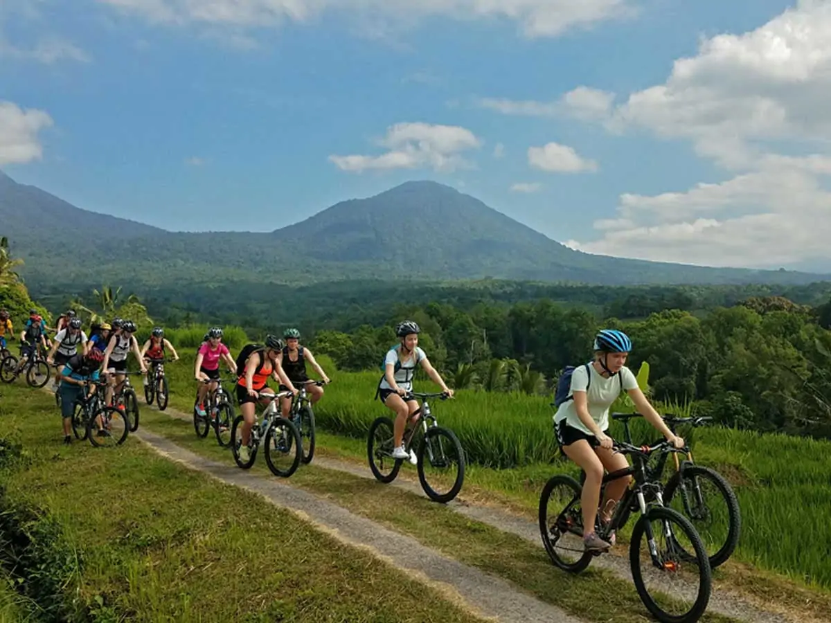 The Morning Cycling / Mountain Bike