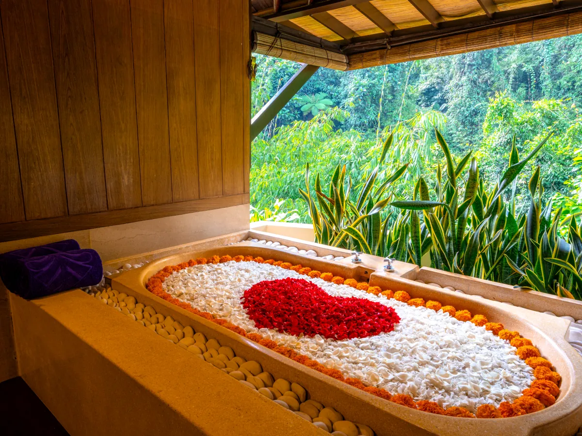 HGOB Spa Bathtub